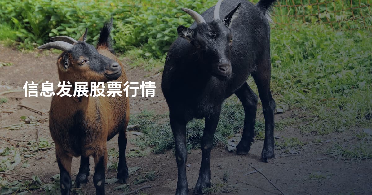 信息发展股票行情