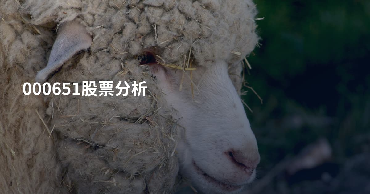 000651股票分析