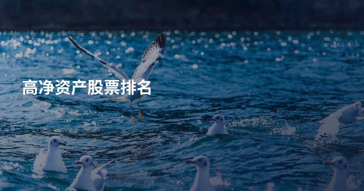 高净资产股票排名