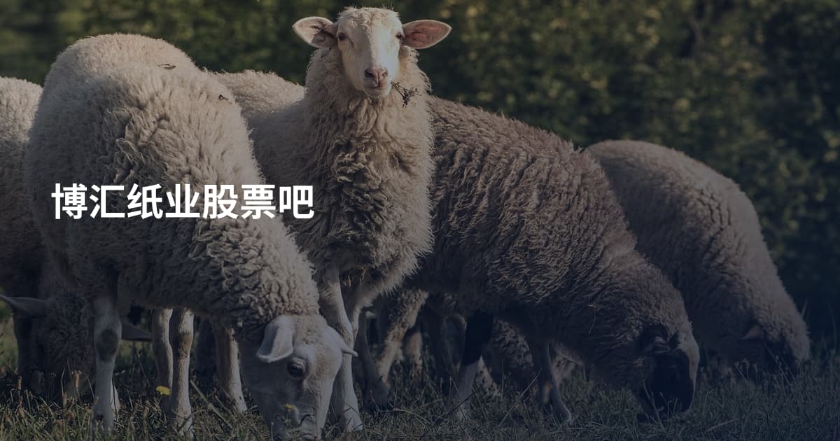博汇纸业股票吧