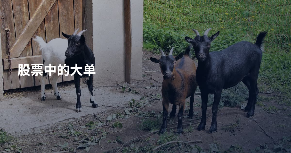 股票中的大单