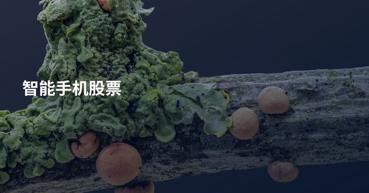智能手机股票