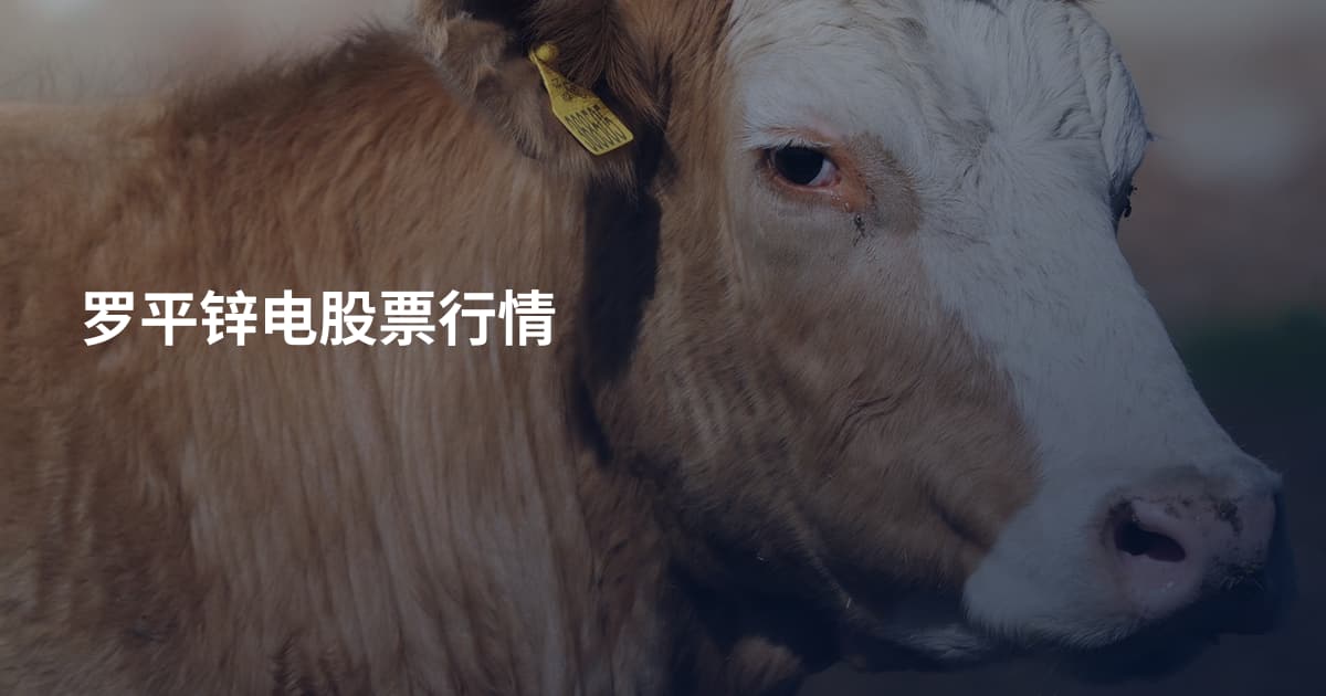 罗平锌电股票行情