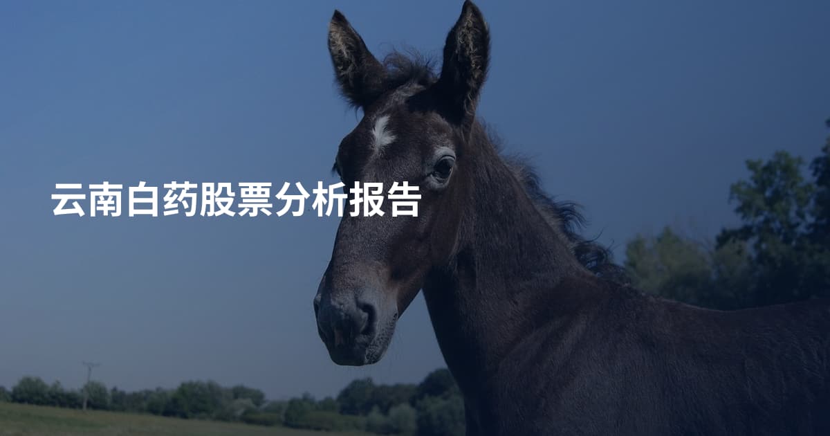 云南白药股票分析报告