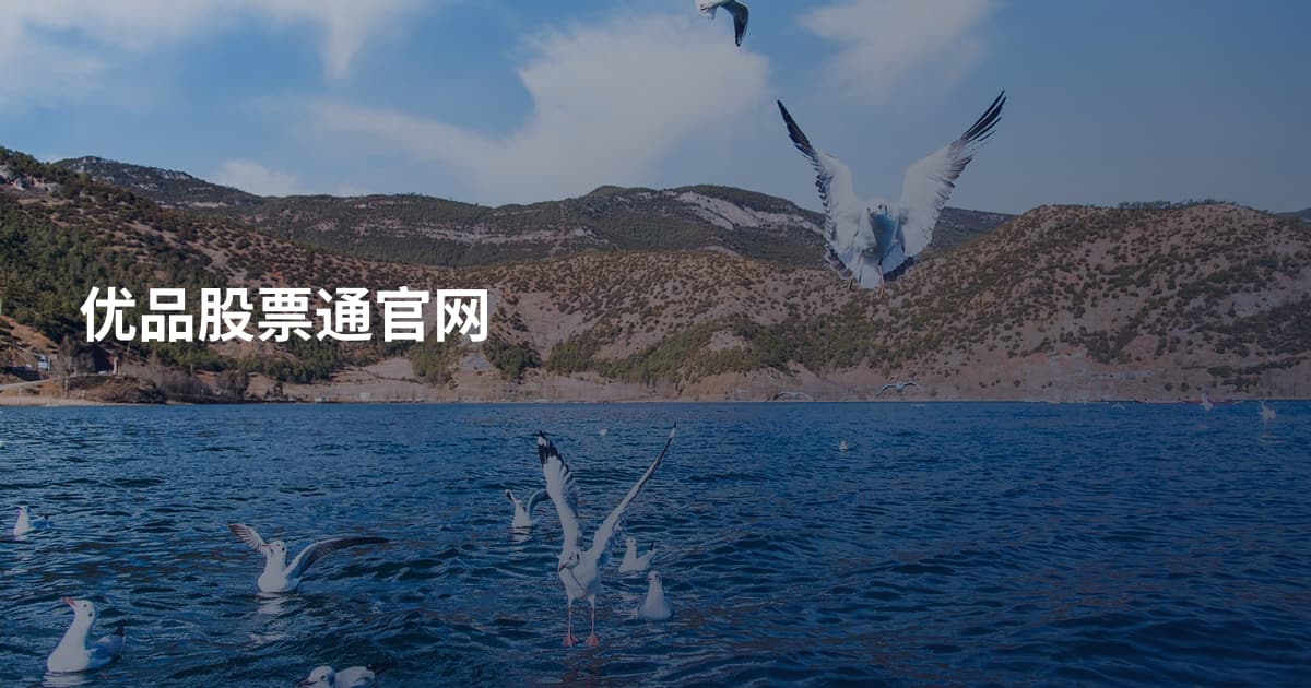 优品股票通官网