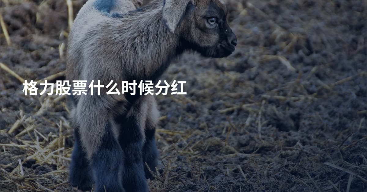 格力股票什么时候分红