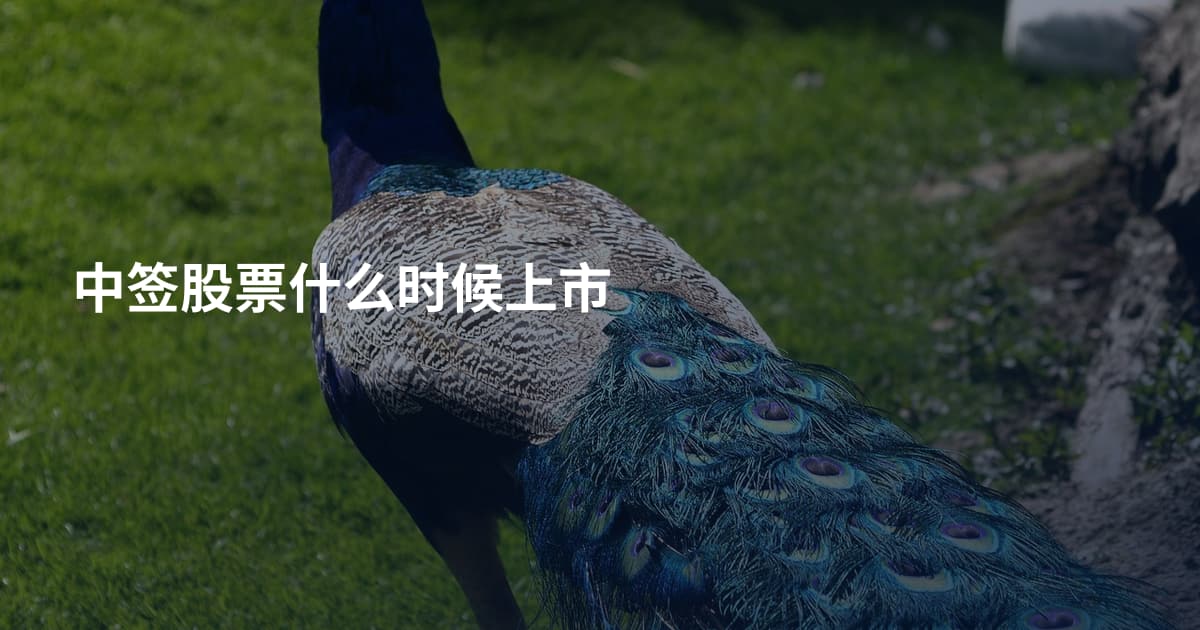 中签股票什么时候上市