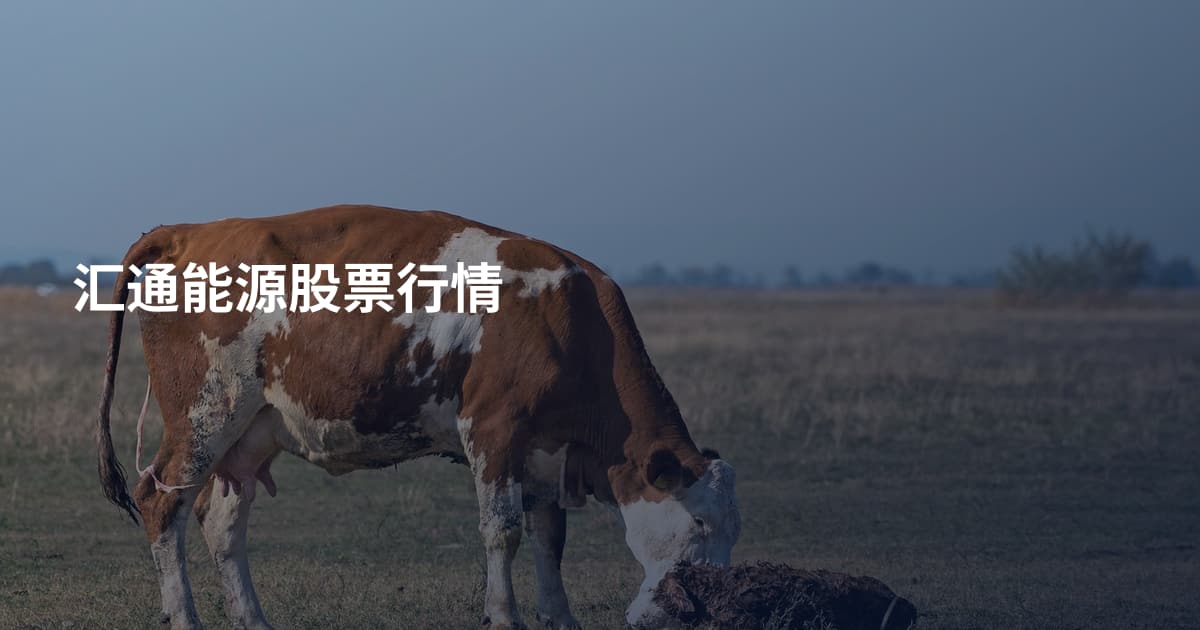 汇通能源股票行情
