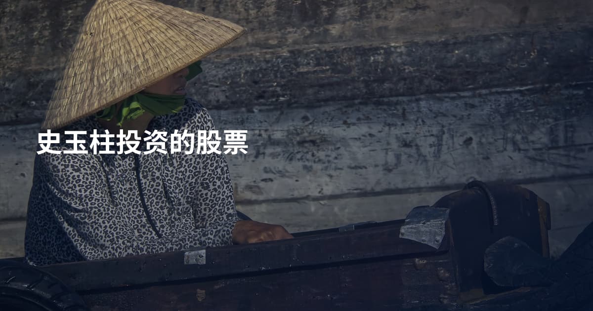 史玉柱投资的股票