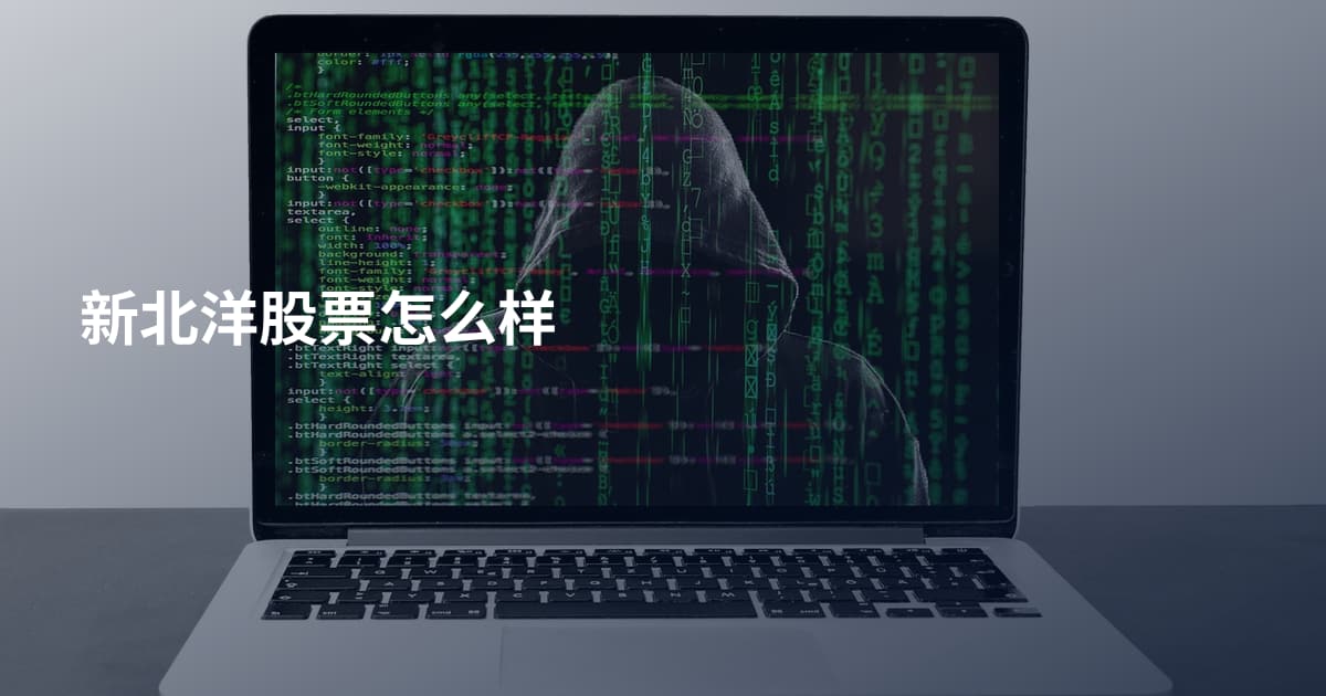 新北洋股票怎么样