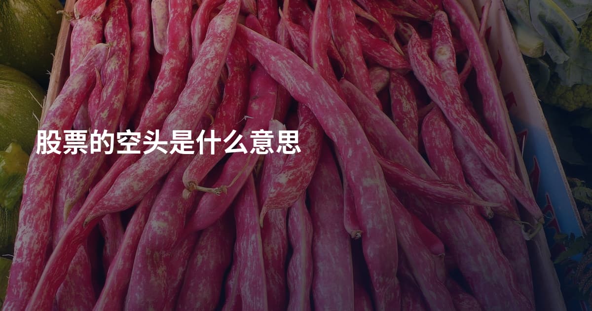股票的空头是什么意思