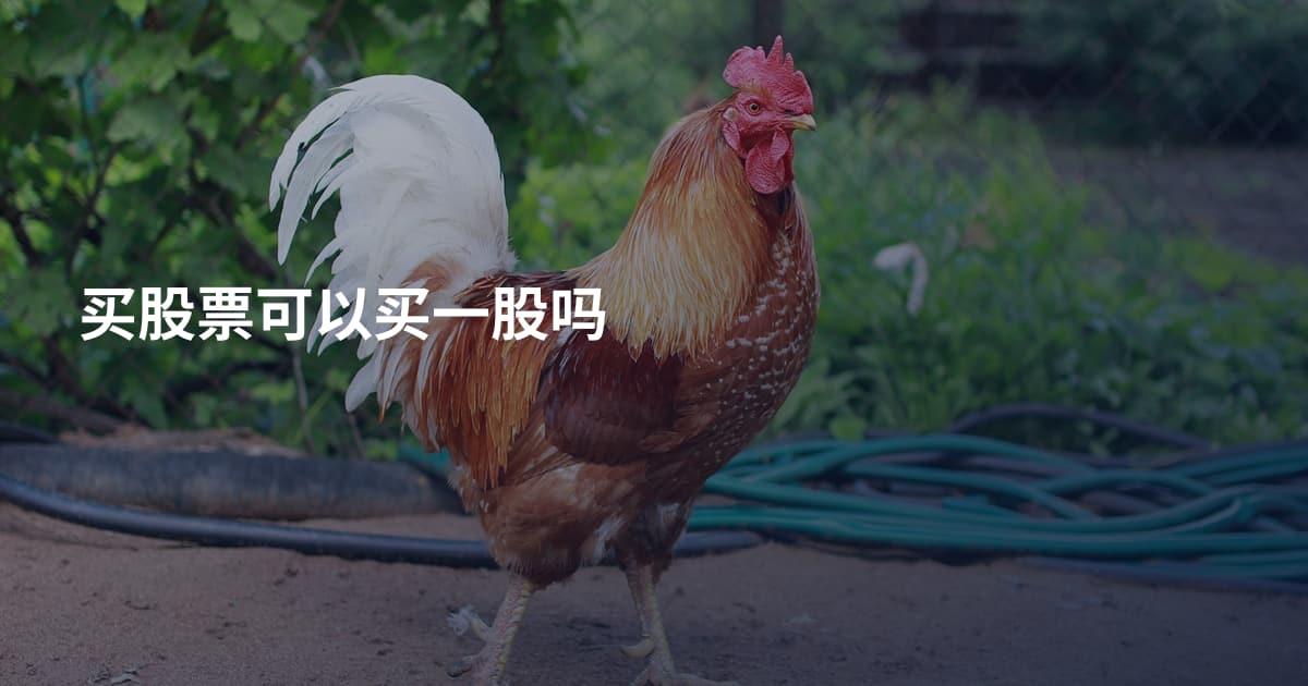买股票可以买一股吗