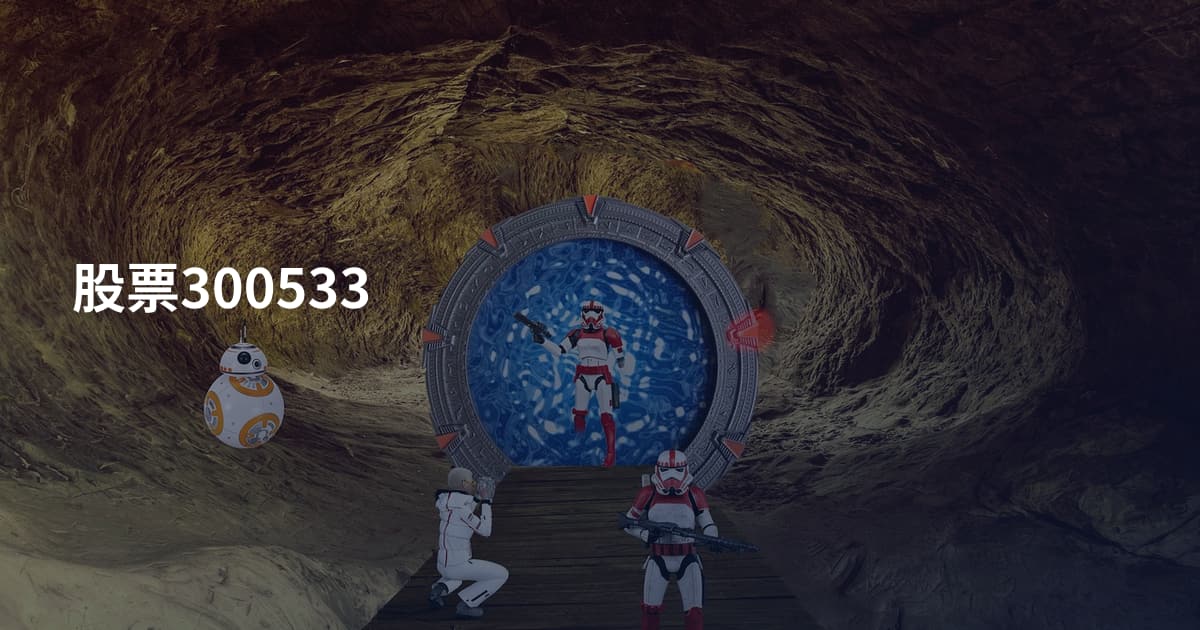股票300533