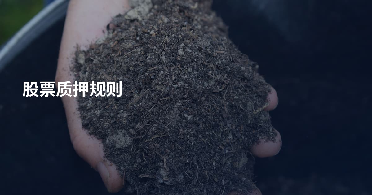 股票质押规则