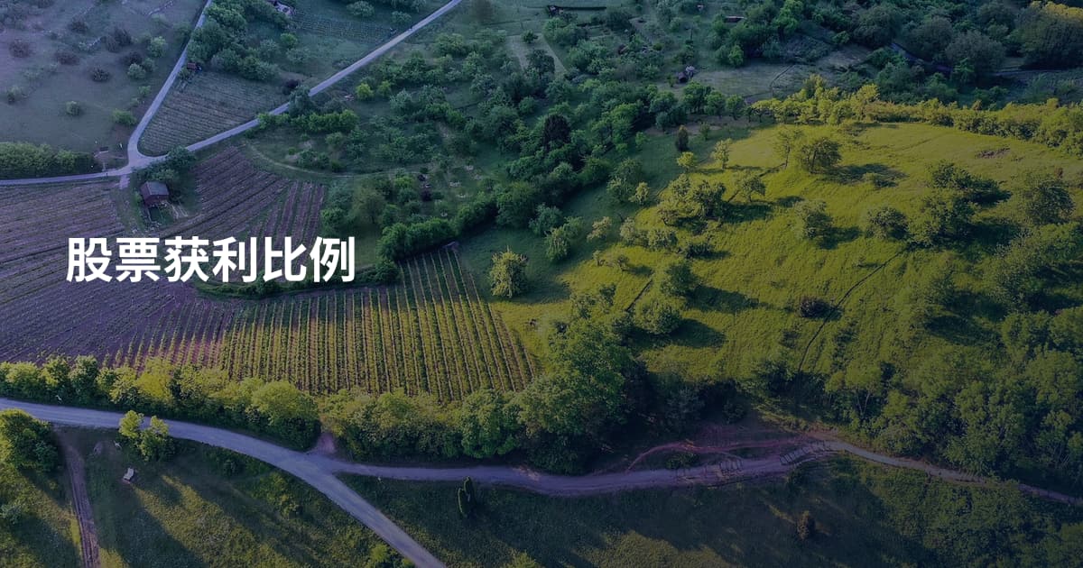股票获利比例