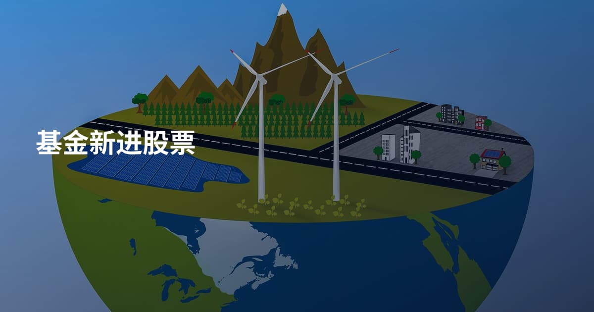 基金新进股票