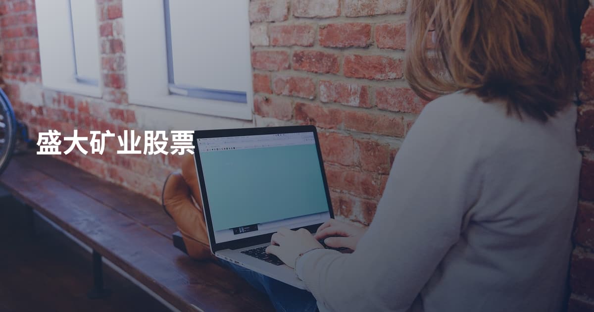 盛大矿业股票