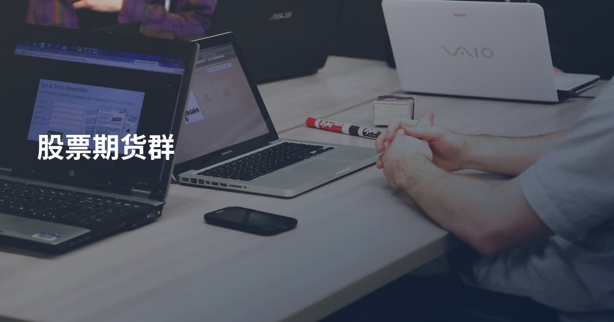股票期货群