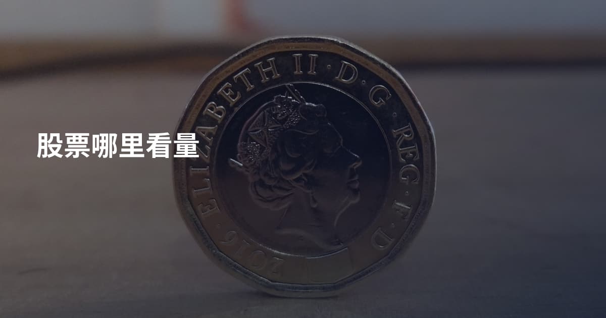 股票哪里看量