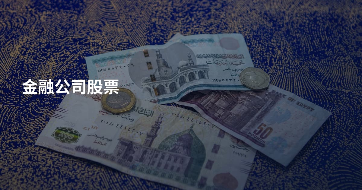 金融公司股票