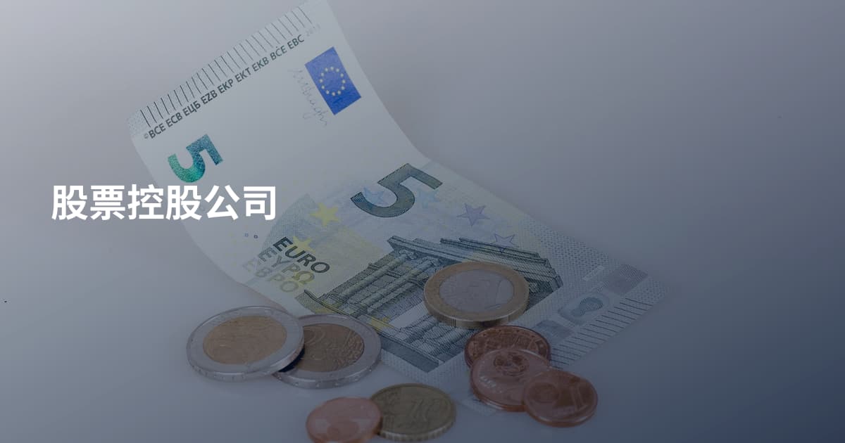 股票控股公司