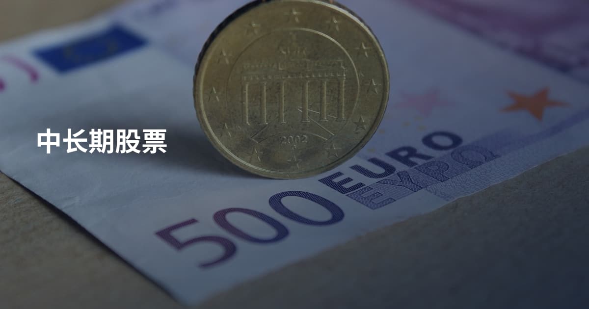 中长期股票
