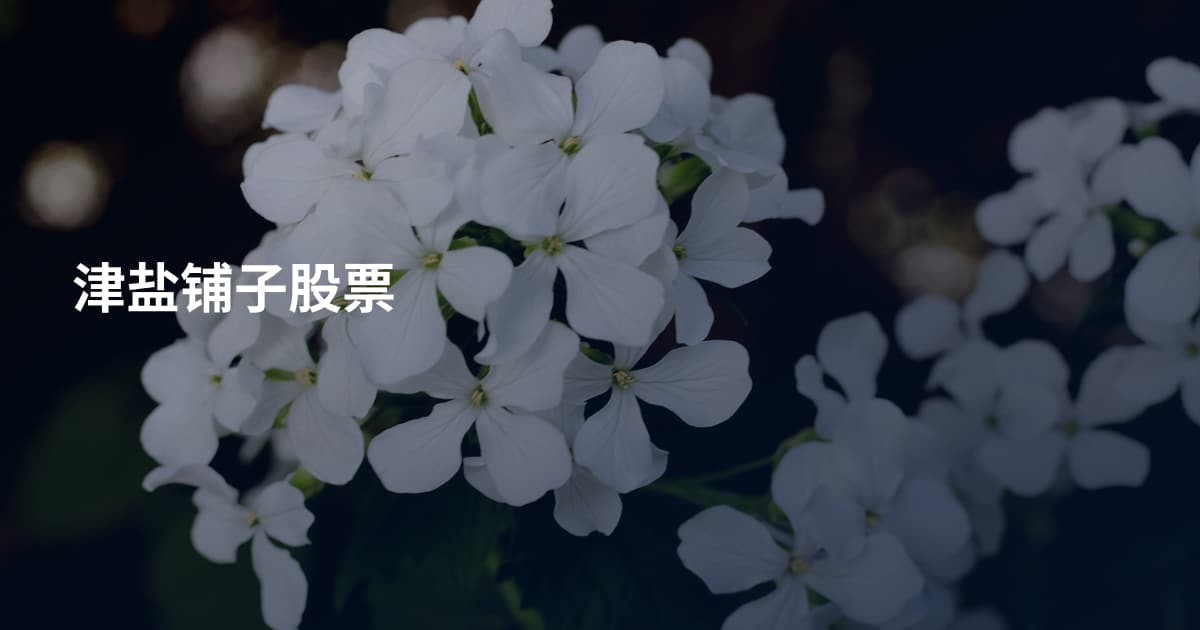 津盐铺子股票
