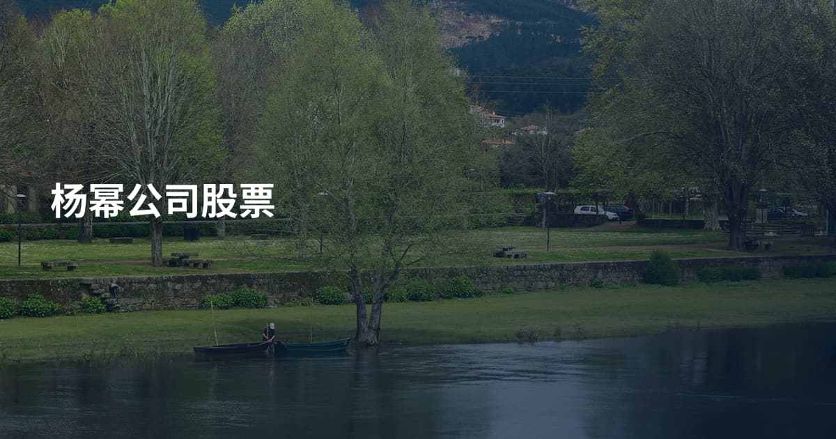 杨幂公司股票