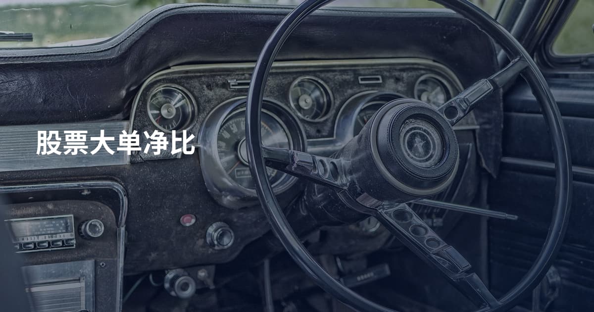 股票大单净比