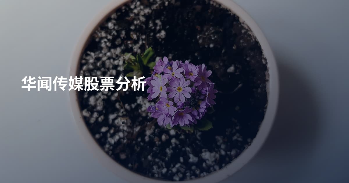 华闻传媒股票分析