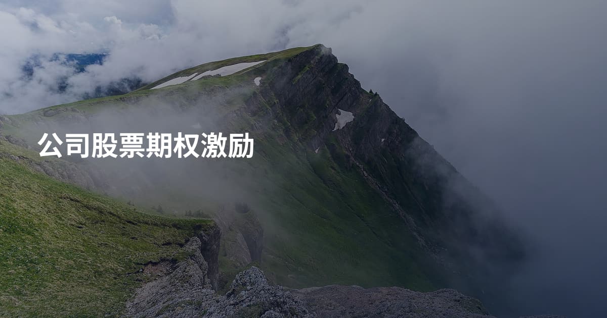 公司股票期权激励