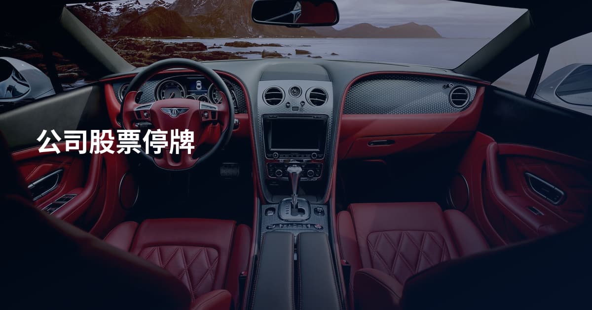 公司股票停牌