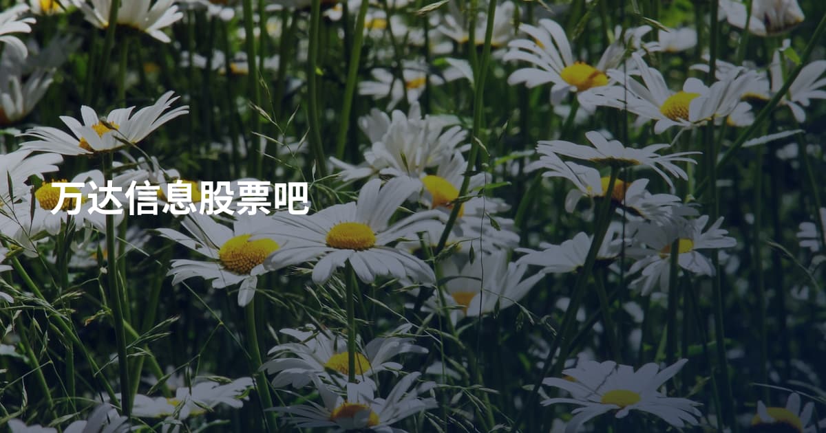 万达信息股票吧