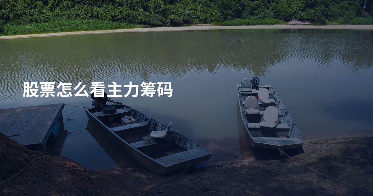 股票怎么看主力筹码