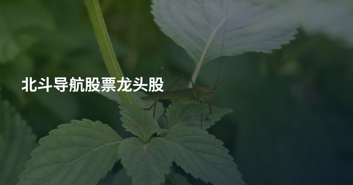 北斗导航股票龙头股
