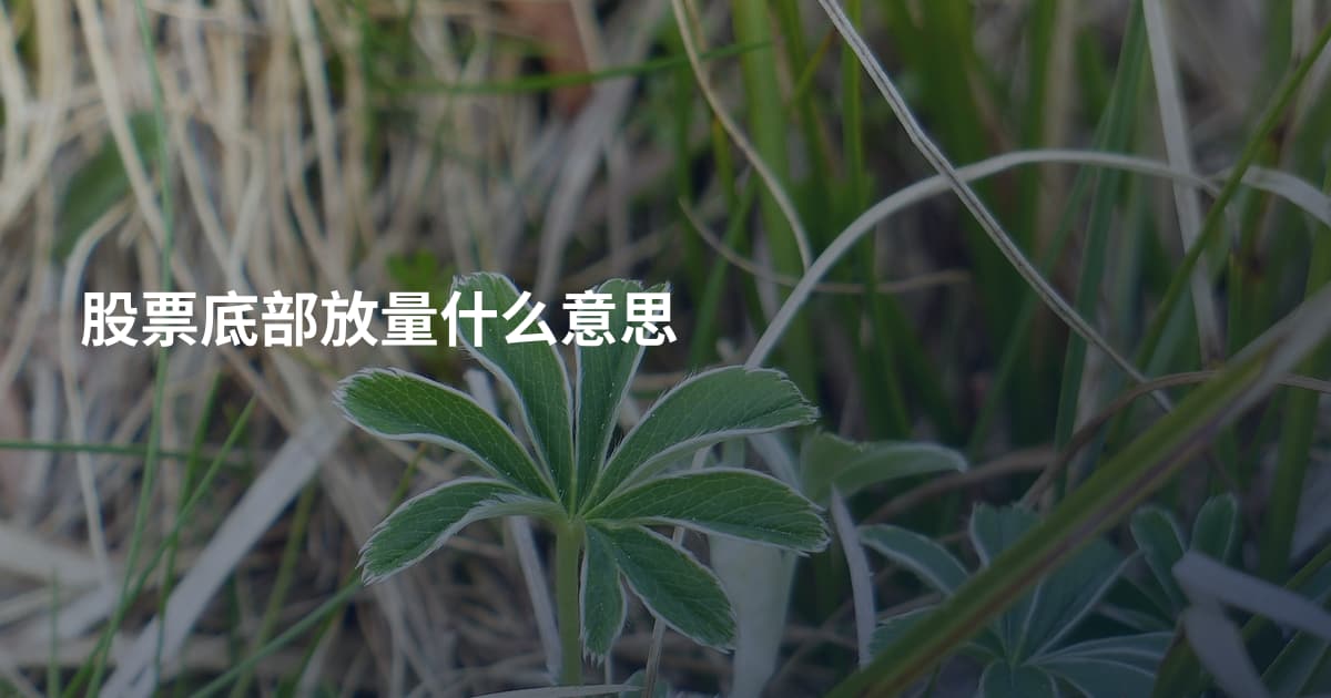 股票底部放量什么意思