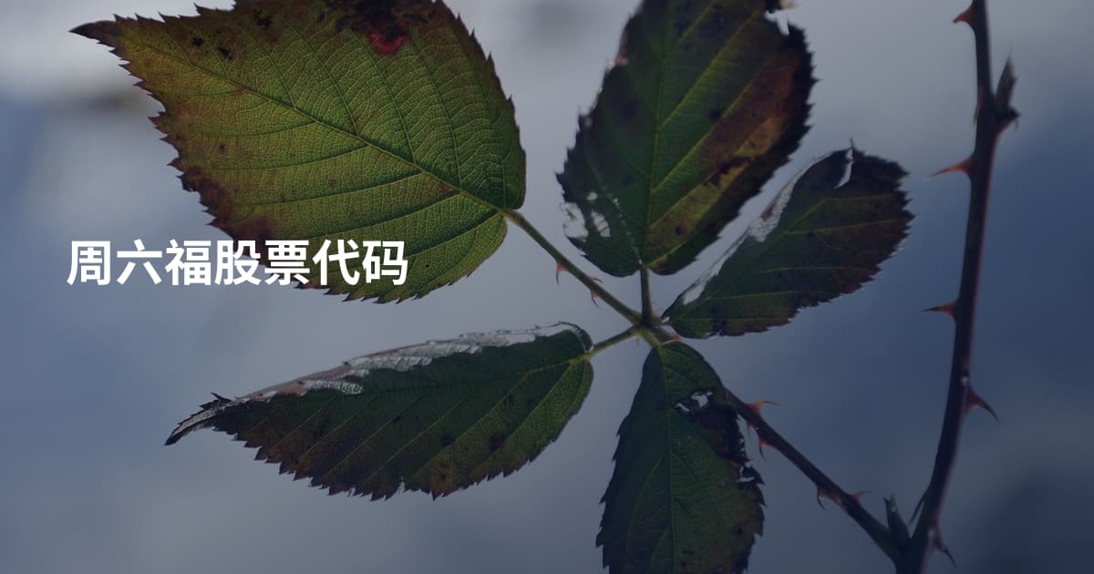 周六福股票代码