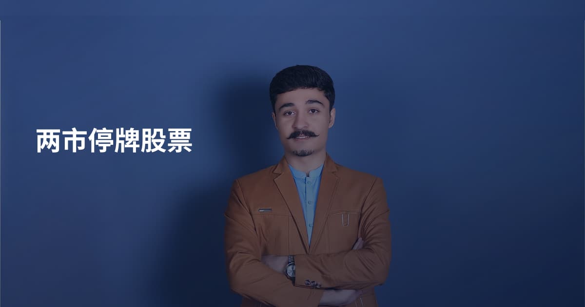 两市停牌股票