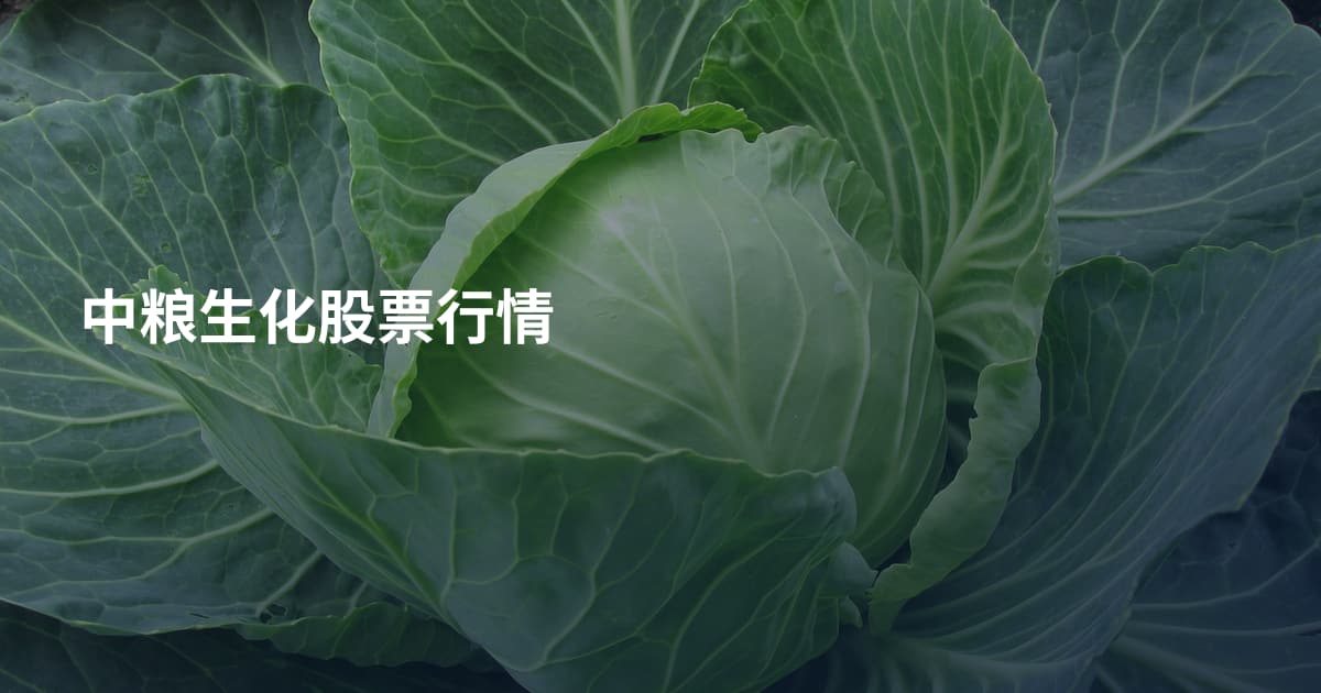 中粮生化股票行情