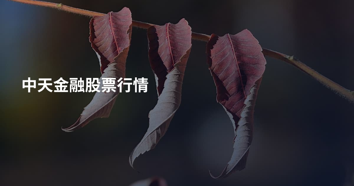 中天金融股票行情
