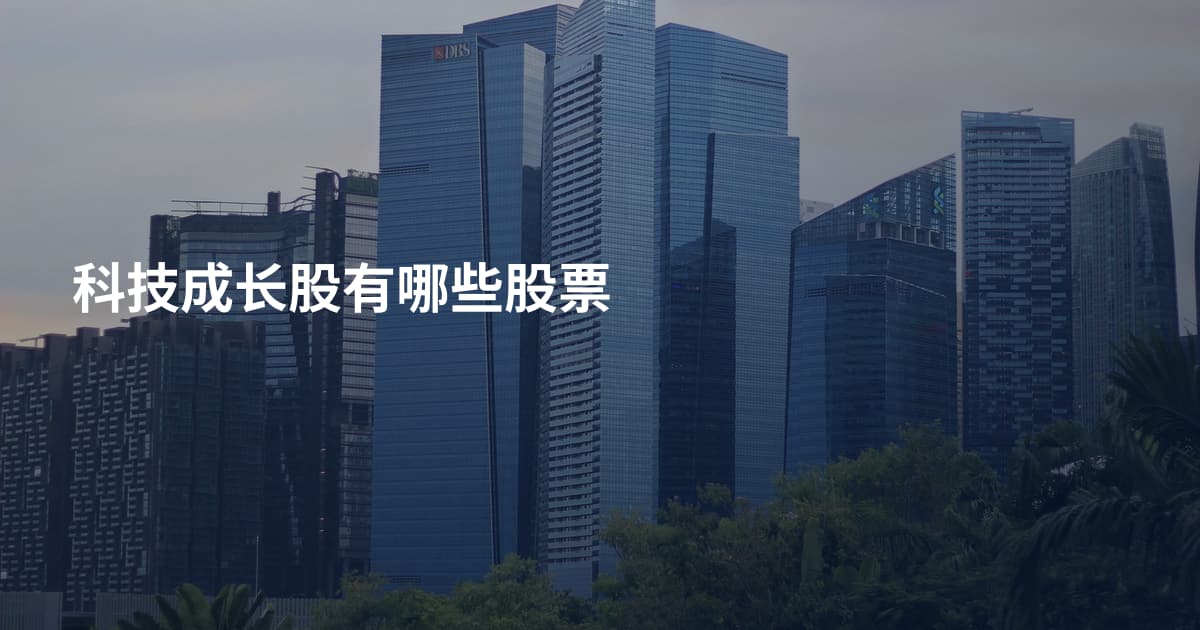 科技成长股有哪些股票