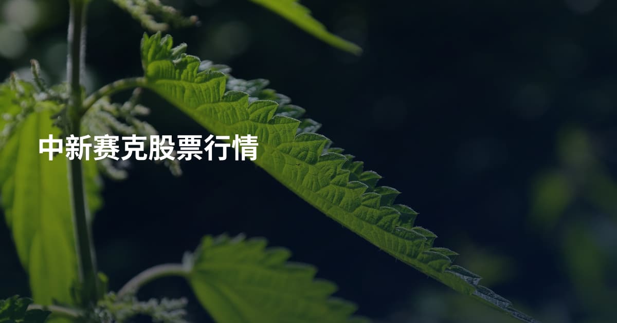 中新赛克股票行情
