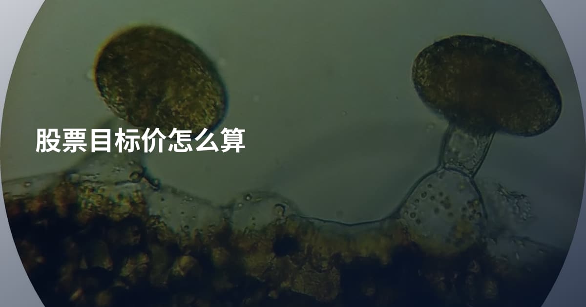 股票目标价怎么算