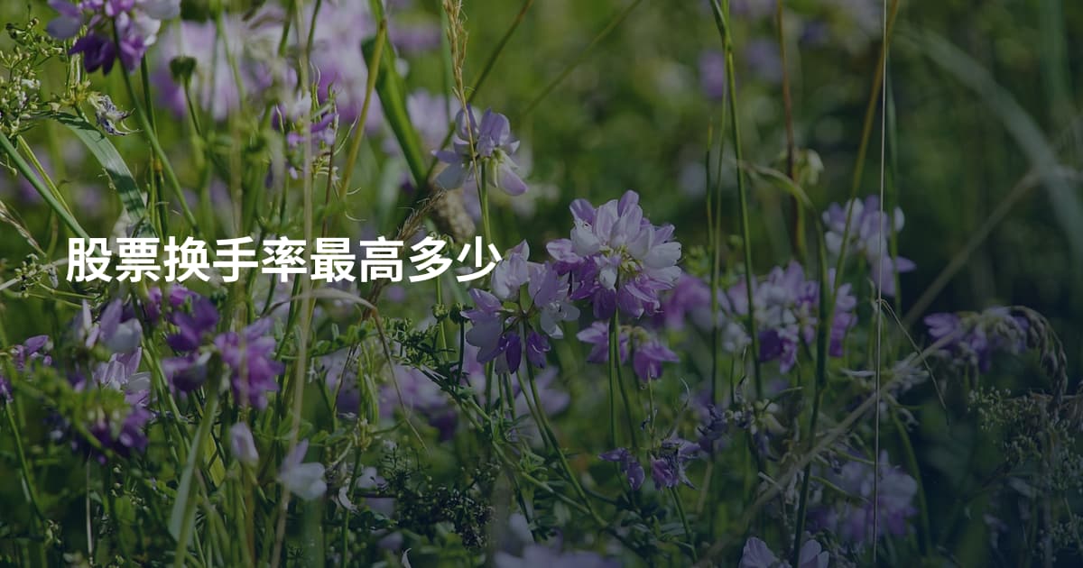 股票换手率最高多少