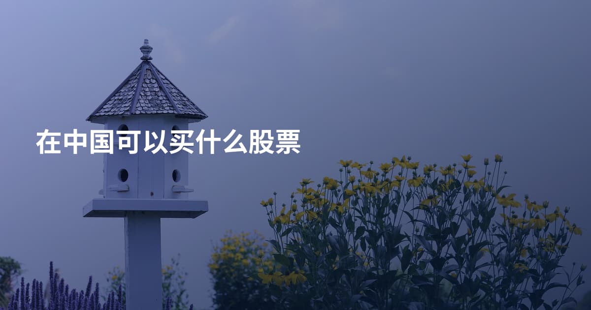 在中国可以买什么股票