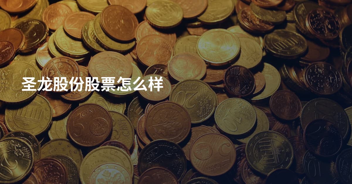 圣龙股份股票怎么样