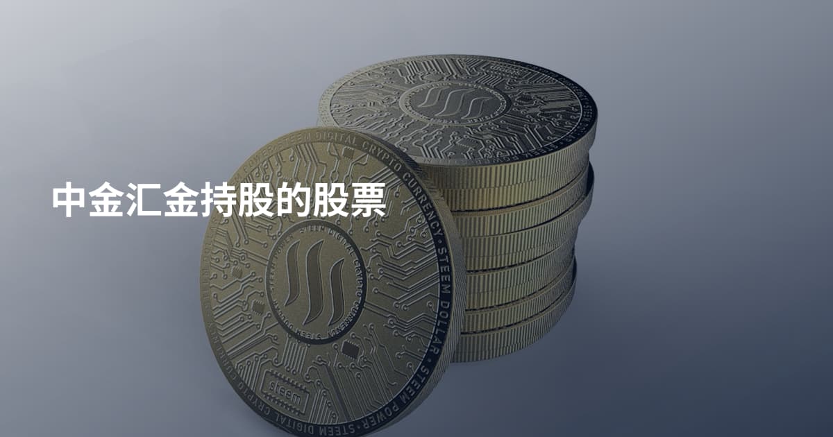 中金汇金持股的股票