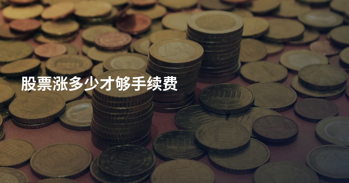股票涨多少才够手续费