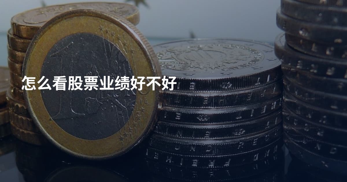 怎么看股票业绩好不好