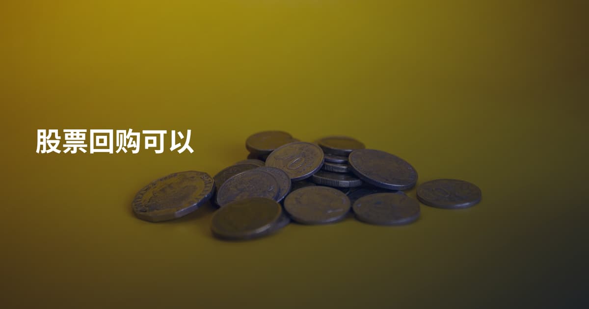 股票回购可以